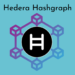 hedera hashgraph retirement rebels